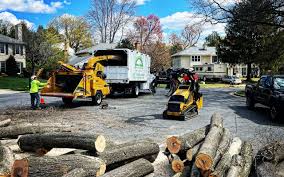 Best Lawn Drainage Solutions  in Sylvester, GA