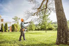 Best Leaf Removal  in Sylvester, GA