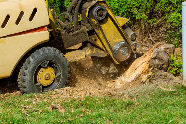 Mulching Services in Sylvester, GA