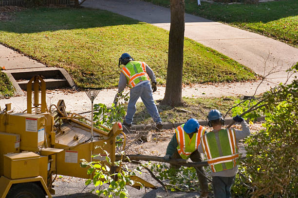 Best Lawn Pest Prevention  in Sylvester, GA