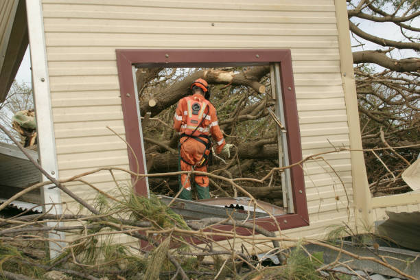 Leaf Removal in Sylvester, GA